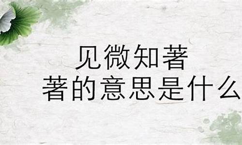 见微知著的著是什么意思_见微知著的著是什