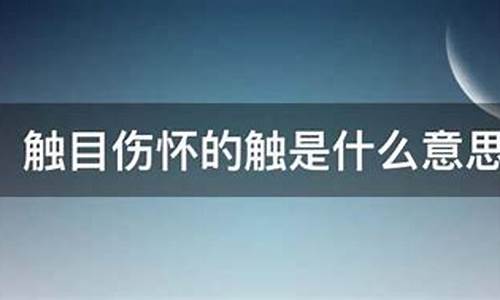 触目伤怀的怀的意思_触目伤怀的怀的意思是什么