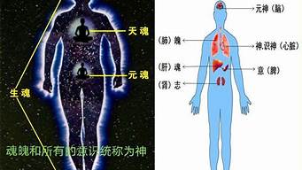 魂魄的意思解释_魂魄的意思解释词语