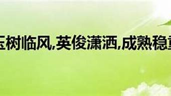 风流倜傥玉树临风才高八斗学富五车_风流倜傥玉树临风才高八斗学富五车小品