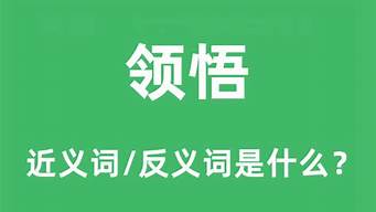 领悟的意思是什么_领悟的意思是什么(最佳答案)