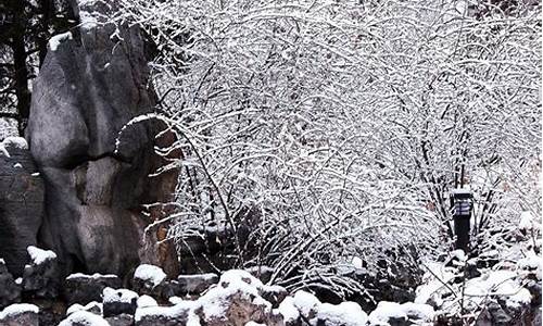 雪兆丰年是什么意思